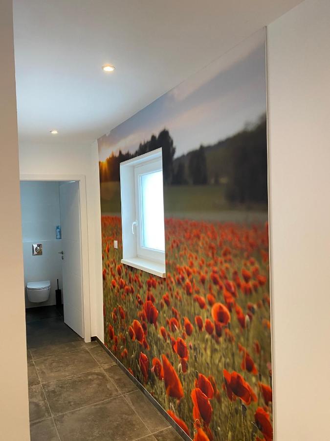 L'atypique Appartement Boofzheim